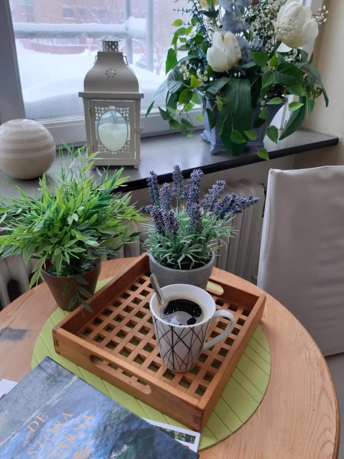 Pitea Vandrarhem エクステリア 写真